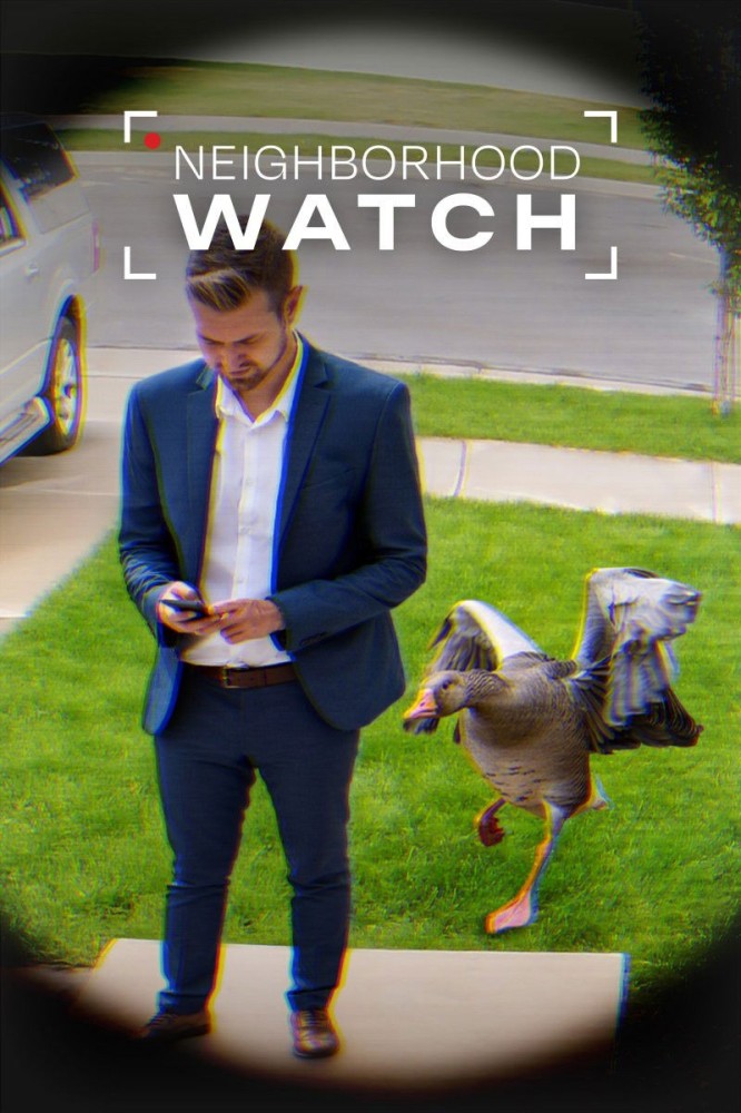 Neighborhood Watch (2026 TV Series)